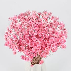 320 Stems Dried Flowers Brazilian Small Star Daisy Decorative Dried Flowers Mini Daisy Chamomile Bouquet for DIY Vase Wedding Wreath Card Making Table Gift Home Decor (White) in Kuwait