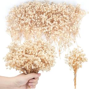 200PCS Mini Dried Baby's Breath Flowers 8000+Pressed White and Green Real Natural Gypsophila Bulk Natural Mini Dried Flowers for Hair Accessory Wedding Wreath Card Making Table Vase Gift Home Decor
