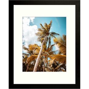 Frametory, 16x20 Black Picture Frame - Display Pictures 11x14 Photo with Ivory Color Mat - Wide Molding (16x20, Black)