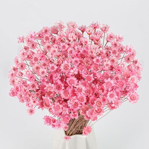 320 Stems Dried Flowers Brazilian Small Star Daisy Decorative Dried Flowers Mini Daisy Chamomile Bouquet for DIY Vase Wedding Wreath Card Making Table Gift Home Decor (White) in Kuwait