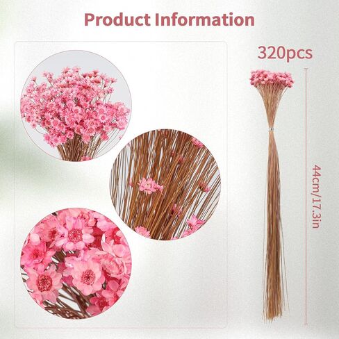 320 Stems Dried Flowers Brazilian Small Star Daisy Decorative Dried Flowers Mini Daisy Chamomile Bouquet for DIY Vase Wedding Wreath Card Making Table Gift Home Decor (White) in Kuwait