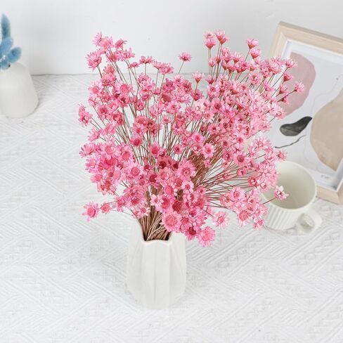 320 Stems Dried Flowers Brazilian Small Star Daisy Decorative Dried Flowers Mini Daisy Chamomile Bouquet for DIY Vase Wedding Wreath Card Making Table Gift Home Decor (White) in Kuwait