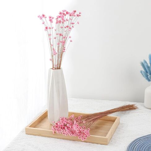 320 Stems Dried Flowers Brazilian Small Star Daisy Decorative Dried Flowers Mini Daisy Chamomile Bouquet for DIY Vase Wedding Wreath Card Making Table Gift Home Decor (White) in Kuwait