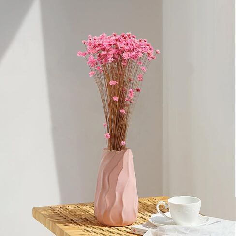 320 Stems Dried Flowers Brazilian Small Star Daisy Decorative Dried Flowers Mini Daisy Chamomile Bouquet for DIY Vase Wedding Wreath Card Making Table Gift Home Decor (White) in Kuwait