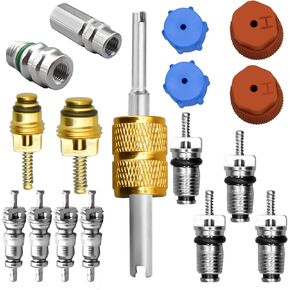 17 Pcs Air Conditioning Valve Core Kit, R12 To R134a Conversion Kit R134a Valve Core A/C Refrigeration System, AC Schrader Valve Kit AC Valve Core Removal Tool AC Service Port Seal Cap Valve Kit