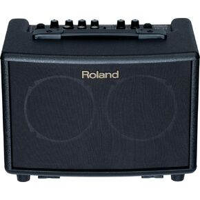Roland AC-33RW 30-Watt 2x5-Inch Acoustic Chorus Guitar Amp - Rosewood