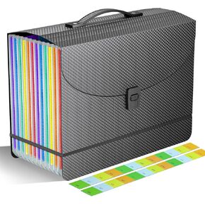 Accordion File Organizer/Expanding File Folder with Handle,13 Pockets Filing Box,Perfect for Desktop Standing/Portabe Document Paper Organizer,A4/Letter Size,Monthly/Blank Tabs,Black Diamond