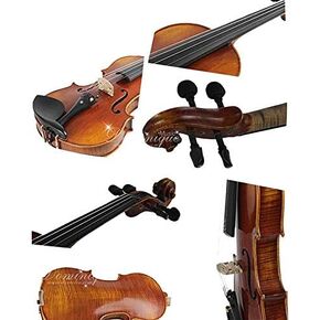 D Z Strad Violin LC101 with case, shoulder rest, bow, and rosin (1/2 - Half Size)