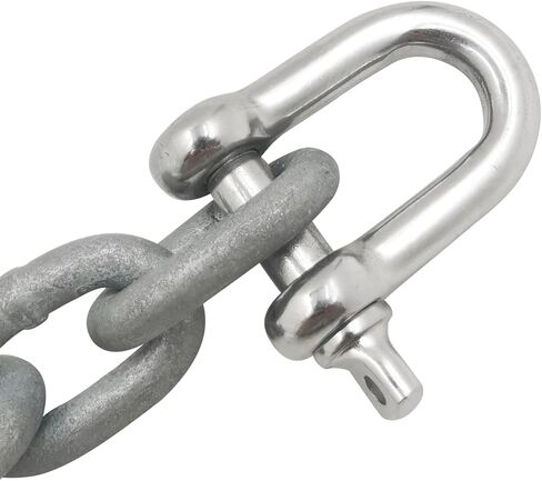 SHENGHUISS D Shackle Stainless Steel 316 Marine Hardware Boat Anchor D Ring Forged Shackle in Kuwait