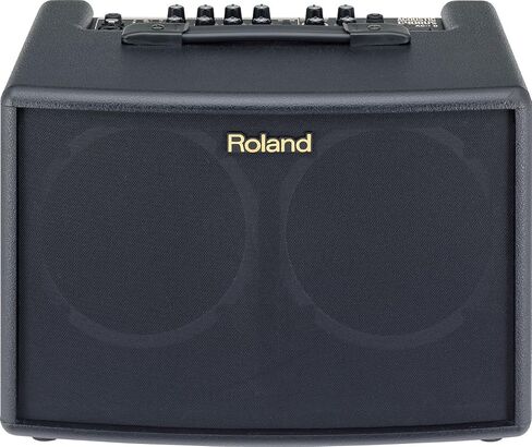 Roland AC-33RW 30-Watt 2x5-Inch Acoustic Chorus Guitar Amp - Rosewood in Saudi Arabia