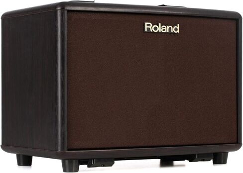Roland AC-33RW 30-Watt 2x5-Inch Acoustic Chorus Guitar Amp - Rosewood in Saudi Arabia