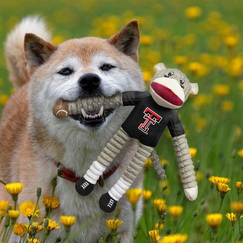 مجموعة ألعاب الحيوانات الأليفة من Littlearth للبالغين من الجنسين NCAA Texas Tech Red Raiders على شكل قرد وقرص طائر، لون الفريق، مقاس واحد in Kuwait