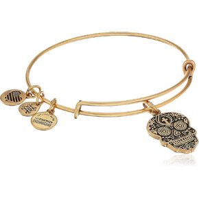 Alex and Ani Calavera Rafaelian Bangle Bracelet