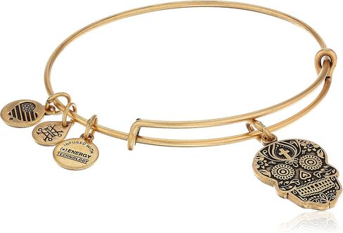 Alex and Ani Calavera Rafaelian Bangle Bracelet in Saudi Arabia