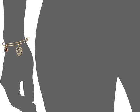 Alex and Ani Calavera Rafaelian Bangle Bracelet in Saudi Arabia