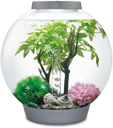 بايورب طقم ديكور 15 لتر خريفي، متعدد الالوان، صغير (عبوة من قطعة واحدة) in Kuwait