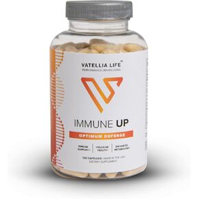 Immune Up High-Absorption Vitamin C, D3, A + Zinc | Immune Support | Improve Cellular Health | Microbial Defense | 120 Capsules (60 Day Supply)