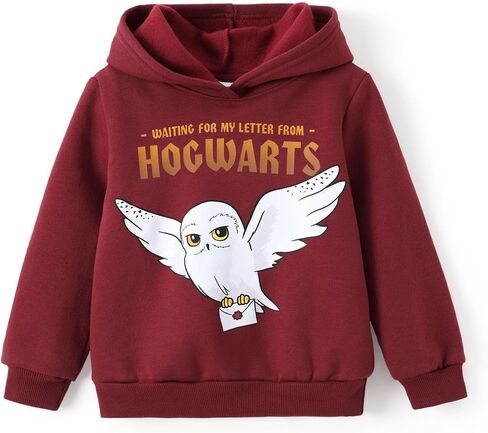 Harry Potter Hoodie for Kids Girls Boys Gryffindor Slytherin Ravenclaw Hufflepuff Pullover Hoodie Hogwarts Clothes Outfits in Saudi Arabia