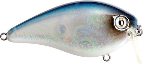 Strike King (HCKVD2.5W-469) KVD 2.5 Wake Bait Fishing Lure, 469 - TN Shad 2.0, 3/8 oz, Unique Clacking Sound in Saudi Arabia