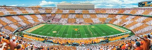 MasterPieces 1000 Piece Sports Jigsaw Puzzle - NCAA Tennessee Volunteers Center View Panoramic - 13"x39" in Kuwait