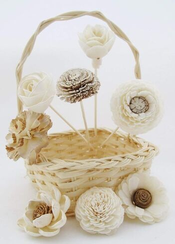 Aroma Set, 10 Mixed Difference Flowers Diffuser Sesbania Wood with 20 Grams Reed Diffuser Sesame Wood and 20 Reed Diffuser Rattan Wood, Rod and Branch Style, for Aroma Diffuser (FL52) in Kuwait