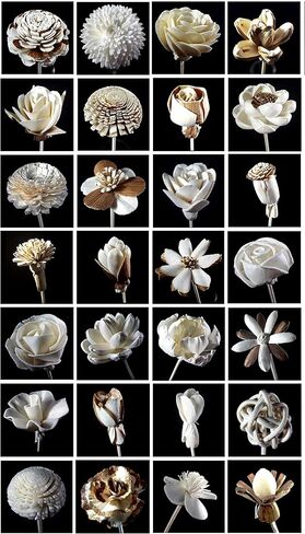 Aroma Set, 10 Mixed Difference Flowers Diffuser Sesbania Wood with 20 Grams Reed Diffuser Sesame Wood and 20 Reed Diffuser Rattan Wood, Rod and Branch Style, for Aroma Diffuser (FL52) in Kuwait