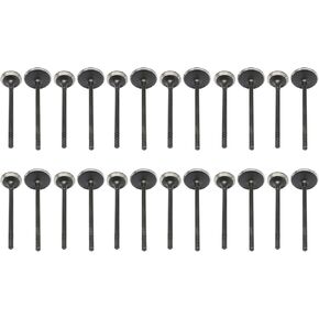 NLQR Intake Exhaust Valves Compatible with Chrysler Compatible with Dodge Grand Caravan Compatible with Jeep 3.6L 2011 2012 2013 2014 2015 2016 2017 2018 2019 replace 5184127AC 5184128AE