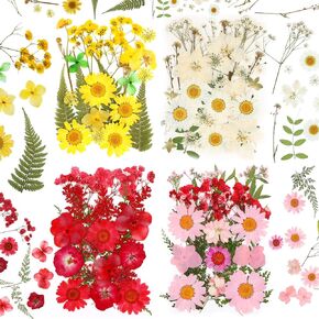 100 Pieces Dried Pressed Flowers for Resin Real Nature Flowers with Leaves Dried Flowers for Crafts DIY Art Candle Soap Making Nail Decors (Daisy Style)
