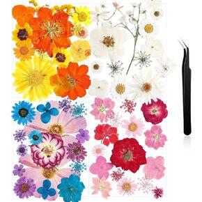 Nuanchu Pressed Flowers Bulk Dried Flower for Crafts, Dried Flower Leave Natural with Tweezer for Resin Mold Scrapbooking DIY (Stylish Style) in Saudi Arabia