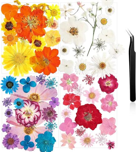 Nuanchu Pressed Flowers Bulk Dried Flower for Crafts, Dried Flower Leave Natural with Tweezer for Resin Mold Scrapbooking DIY (Stylish Style) in Saudi Arabia