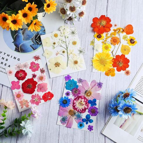 Nuanchu Pressed Flowers Bulk Dried Flower for Crafts, Dried Flower Leave Natural with Tweezer for Resin Mold Scrapbooking DIY (Stylish Style) in Saudi Arabia