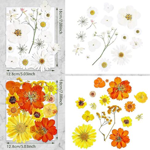 Nuanchu Pressed Flowers Bulk Dried Flower for Crafts, Dried Flower Leave Natural with Tweezer for Resin Mold Scrapbooking DIY (Stylish Style) in Saudi Arabia