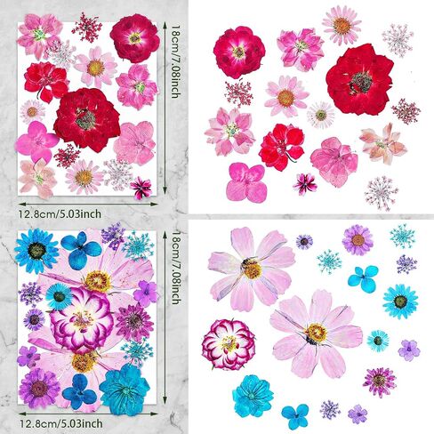 Nuanchu Pressed Flowers Bulk Dried Flower for Crafts, Dried Flower Leave Natural with Tweezer for Resin Mold Scrapbooking DIY (Stylish Style) in Saudi Arabia