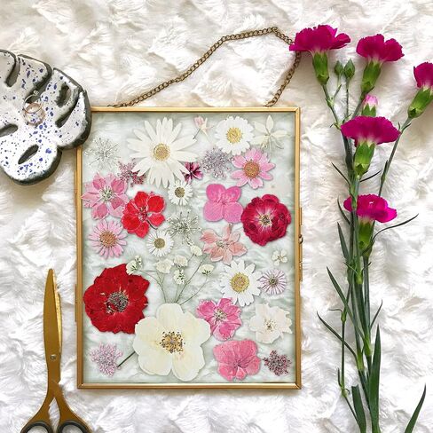 Nuanchu Pressed Flowers Bulk Dried Flower for Crafts, Dried Flower Leave Natural with Tweezer for Resin Mold Scrapbooking DIY (Stylish Style) in Saudi Arabia