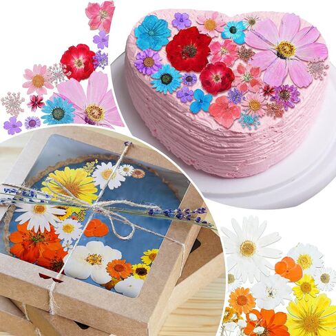 Nuanchu Pressed Flowers Bulk Dried Flower for Crafts, Dried Flower Leave Natural with Tweezer for Resin Mold Scrapbooking DIY (Stylish Style) in Saudi Arabia