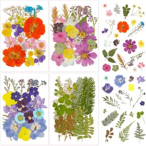 Pressed Flowers Bulk Dried Flowers for Crafts,Real Natural Pressed Flowers Dry Leaves Kit for Crafts Resin Mold Jewelry Candle Soap Making Scrapbooking Nails DIY（Pink Style）