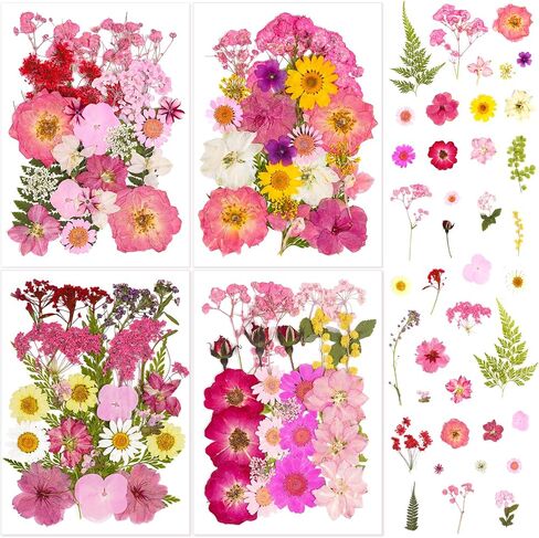 Pressed Flowers Bulk Dried Flowers for Crafts,Real Natural Pressed Flowers Dry Leaves Kit for Crafts Resin Mold Jewelry Candle Soap Making Scrapbooking Nails DIY（Pink Style） in Saudi Arabia