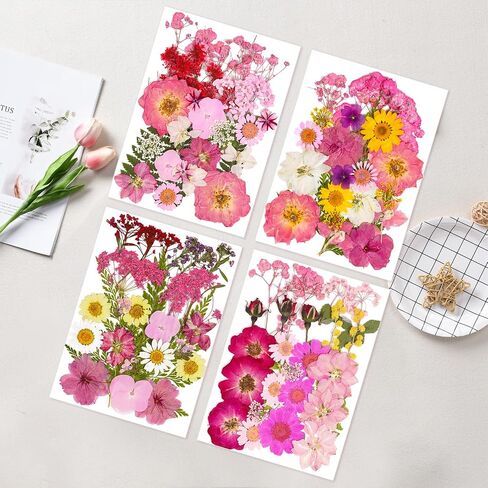 Pressed Flowers Bulk Dried Flowers for Crafts,Real Natural Pressed Flowers Dry Leaves Kit for Crafts Resin Mold Jewelry Candle Soap Making Scrapbooking Nails DIY（Pink Style） in Saudi Arabia