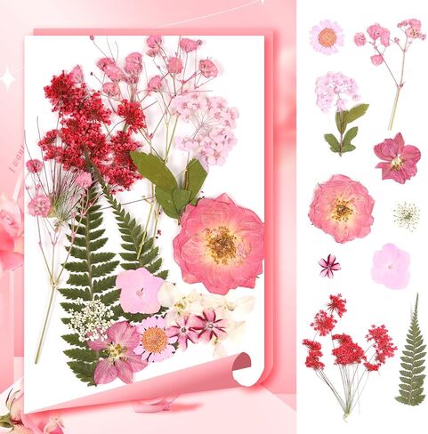 Pressed Flowers Bulk Dried Flowers for Crafts,Real Natural Pressed Flowers Dry Leaves Kit for Crafts Resin Mold Jewelry Candle Soap Making Scrapbooking Nails DIY（Pink Style） in Saudi Arabia