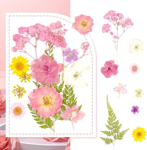 Pressed Flowers Bulk Dried Flowers for Crafts,Real Natural Pressed Flowers Dry Leaves Kit for Crafts Resin Mold Jewelry Candle Soap Making Scrapbooking Nails DIY（Pink Style） in Saudi Arabia