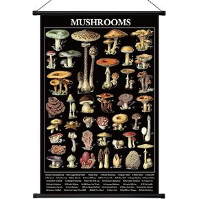 Geyee Vintage Mushroom Poster Fungus Wall Art Prints Rustic Mushroom Wall Hanging Illustrative Reference Chart Poster for Living Room Office Classroom Bedroom Decor Frame, 15.8x23.6 Inch (Kraft Color)