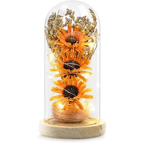 Sunflower Gifts for Women, Artificial Sunflowers in Glass Dome with LED Strip, 1PSC Sunflower Decor on Mother's Day, Valentine's Day, Christmas, Thanksgiving, Birthday (Yellow)
