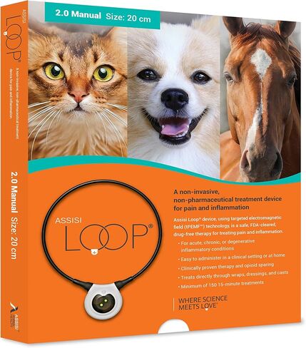 Assisi Loop 2.0 Manual Size: 10 cm Drug Free Therapy Treats Pain and Inflammation Acute or Chronic Conditions 150 Treatments, 1 Count (Pack of 1) in Saudi Arabia