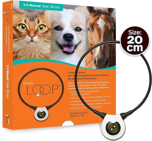 Assisi Loop 2.0 Manual Size: 10 cm Drug Free Therapy Treats Pain and Inflammation Acute or Chronic Conditions 150 Treatments, 1 Count (Pack of 1) in Saudi Arabia