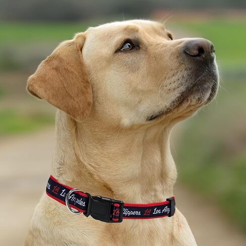 Pets First NBA BROOKLYN NETS Dog Collar, Size Small. Best Pet Collar for all Sports Fans in Kuwait