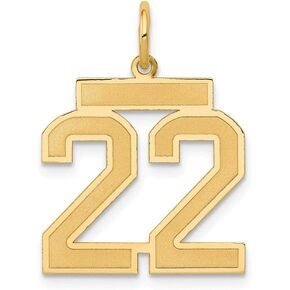 Solid 14k Yellow Gold Medium Number 22 Charm Brushed Matte Finish Pendant