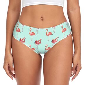 Women's Underwear Brief Breathable Soft Knickers Watercolor Red Flamingos XX-Large