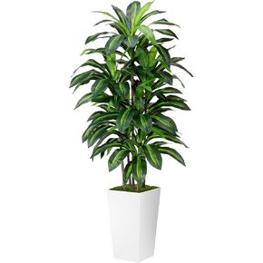 Artificial Dracaena Tree 5FT - Fake Tree with Black Tall Planter - Faux Yucca Tall Fake Floor Plant in Pot - Artificial Plant for Home Office Living Room Decor Indoor