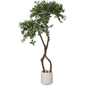 5ft Artificial Polyscias Fruticosa Tree with Sturdy Plastic Pot, Faux Polyscias Fruticosa Tree with Lifelike Leaves, Fake Artificial Plants for Office Home Living Room Indoor Outdoor Decor