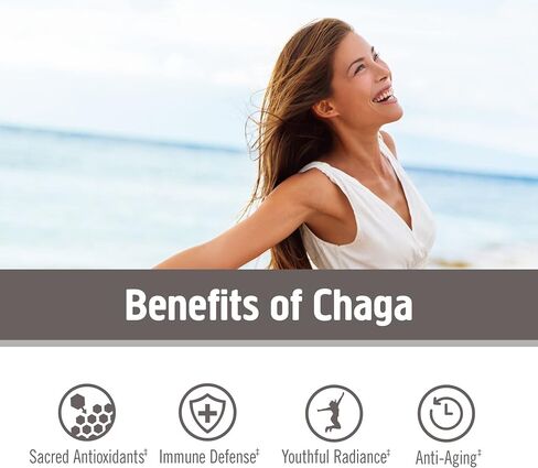 OM Mushroom Superfood Chaga Organic Mushroom Powder, 7.05 Ounce Pouch, 100 Servings, US Grown, Sacred Antioxidants & Immune Support, Superfood Mushroom Supplement in Saudi Arabia